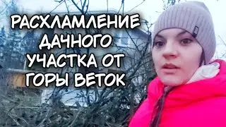 Расхламление дачного участка. Много веток. Очень много. Целая гора.