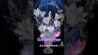 Спокойной ночи!!!
