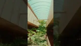 Color Grading footage