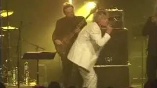 Robert van der Lippe - Turn on your love light "Them Tribute"