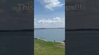 Fastest boat at the 1000 islands poker run