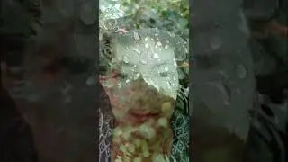 Очень люблю это стихотворение.