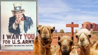 The True Story Of The United States Camel Corps
