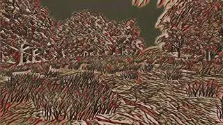 Neural Network Post Processing - Fast Neural Style Tranfer