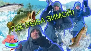РЫБАЛКА В МИНУС- 20/ РЫБАКОВ БОЛЬШЕ ЧЕМ РЫБЫ🐟/ СУРОВАЯ ЗИМА