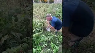 Загрузились😉👍