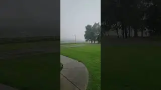 Severe Thunderstorm Extreme Winds Blow Down Trees