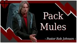 Pack Mules