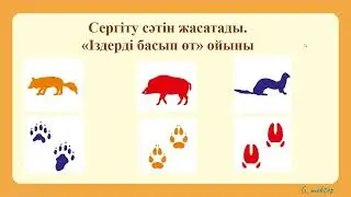 Ашық сабақ үлгісі, жаратылыстану, 2 сынып