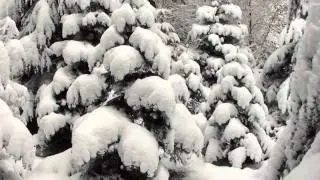 WinterWonderLand