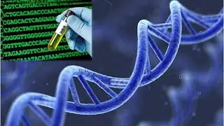 Understanding Polymorphisms, Mutations, and Phenotype in Genetics (3 Minutes)