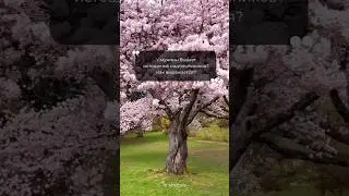 Истощение надпочечников у мужчин