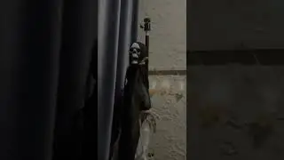 #youtube