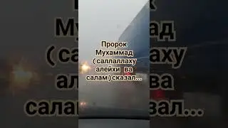 Пророк Мухаммад (саллаллаху алейхи ва салам) сказал...