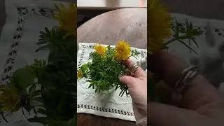 🌷САМЫЙ ДОРОГОЙ БУКЕТ🌷 Кто подарил и в какую вазу поставила