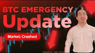 5 August 2024, BTC Emergency Update. Do not Panic.