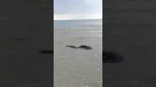 Море
