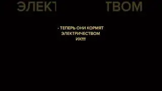 Украинские биолаборатории заряжают голубей!