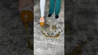 My rug is RUINED?!🤯 #satisfyingvideo #oddlysatisfying #cleaning