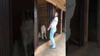 ОБМОРОК У АЛАБАЯ МАРШАЛУ 7 МЕСЯЦЕВ
