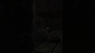 STALKER. Зов Припяти Анекдот #сталкерзовприпяти #Анекдотсталкер#сталкер #зовприпяти #gems #shorts