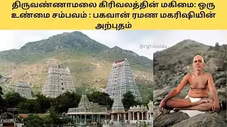 திருவண்ணாமலை கிரிவலத்தின் மகிமை: ஒரு உண்மை சம்பவம் | Rightu Vidu
