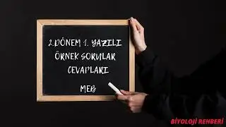 9. Sınıf Biyoloji 2 dönem 1 yazılı MEB Örnek soruları 