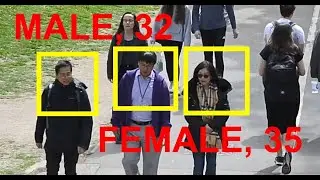 Face gender age demographics AI software demo - Camlytics