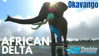Latest AFRICAN Pack | Microsoft Flight Simulator 2020