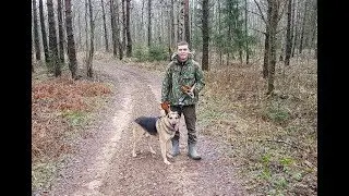 Вечера на копе близ Синявино. Копаем жбонь