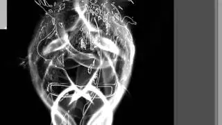 PhotoshopTutorial Smoke Portrait Effect   Photoshop Tutorial