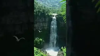 Headeja