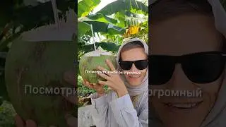 царский размер!! 