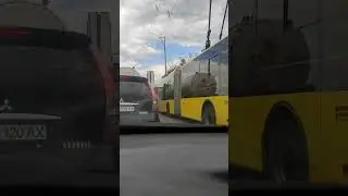 Олени на дорогах. Киев, Украина. Машины едут по полосе для транспорта.