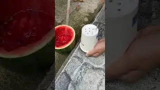 Maybe you don’t know this 💡Little Tips 🍉🍉