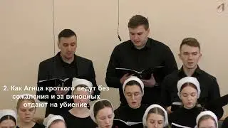 О, как прискорбны, горьки нам воспоминания... 07.04.2023