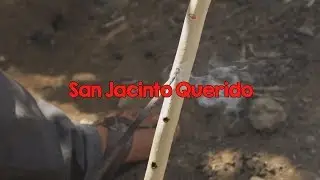 San Jacinto Querido