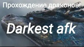 Прохождение драконов в игре Darkest afk! | #DarkestAfk | Драконы darkest afk!
