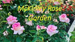 Sacramento. McKinley Rose Garden.