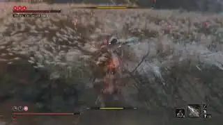 NG +4 or 5 no kuros charm, isshin destroys