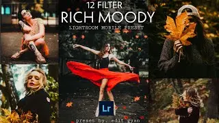 Free Presets Lightroom Mobile | Lightroom Presets Drive Link | Rick Moody Presets Lightroom