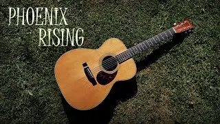 Phoenix Rising