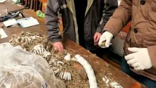 Сергей  советский напильник