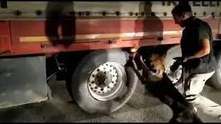 Eskişehir'de drone destekli operasyonda