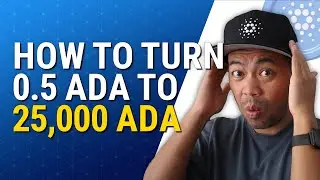 Cardano Trade! How to turn 0.5 ADA into 25,000 ADA with One Trade