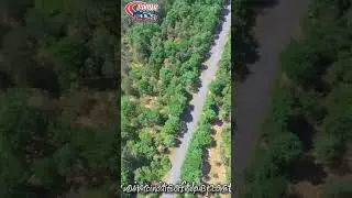 Old Hockenheim Today - Ostkurve by Drone