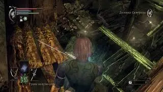Demon's Souls, ч.03. Leechmonger (Торговец Пиявками)
