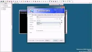 Terminals