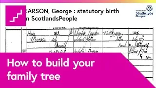 How to use sources to create your family tree
