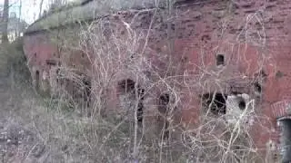 межфортовка.    м. васильково.